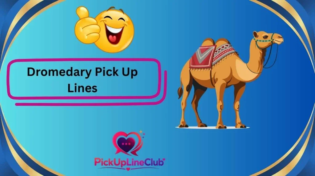 Dromedary Pick Up Lines