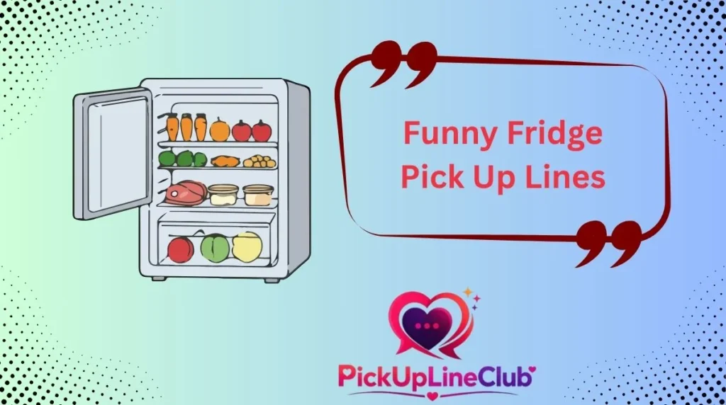 Funny Fridge Pick Up Lines
