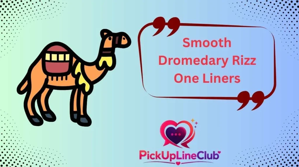Smooth Dromedary Rizz One Liners
